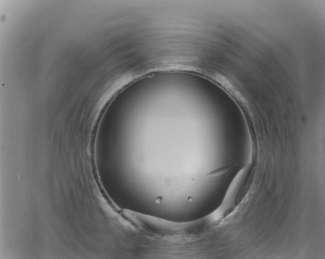 X0000062141189200512161210