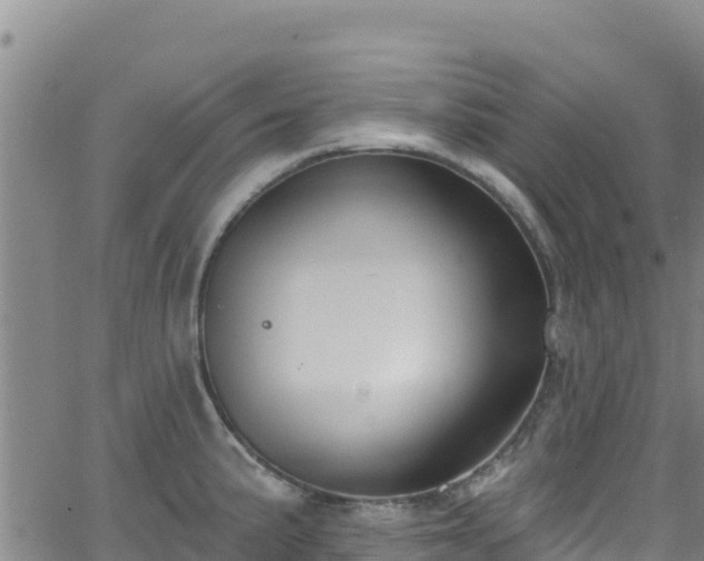 X0000062141191200512161210