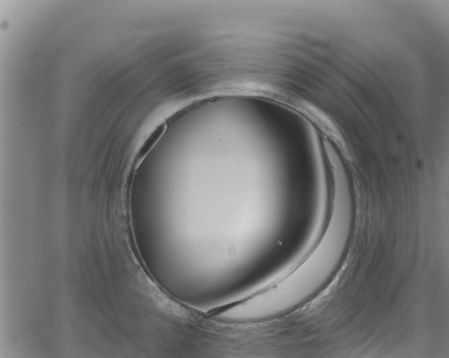 X0000062141192200512161210