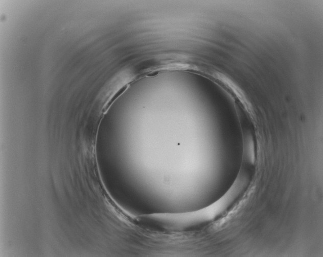 X0000062141193200512161210