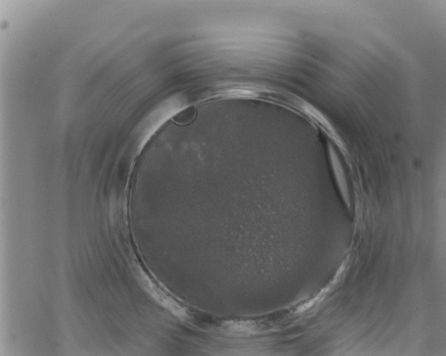 X0000062141194200512161210