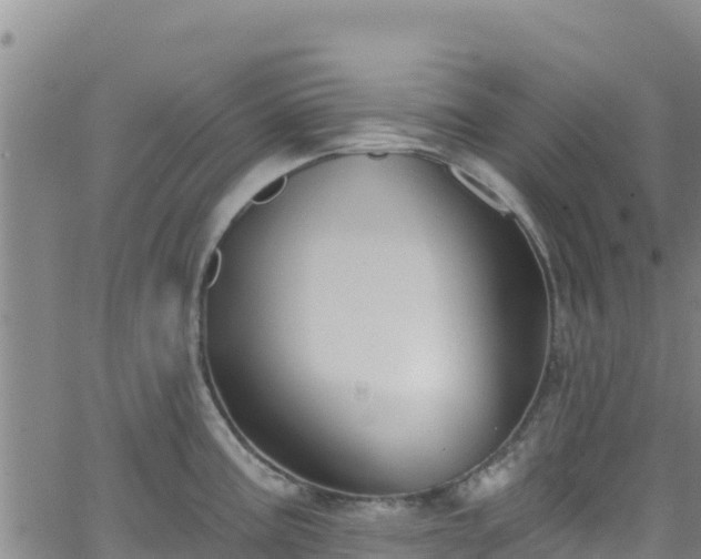 X0000062141195200512161210