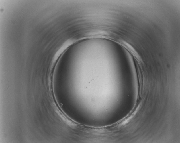 X0000062141196200512161210