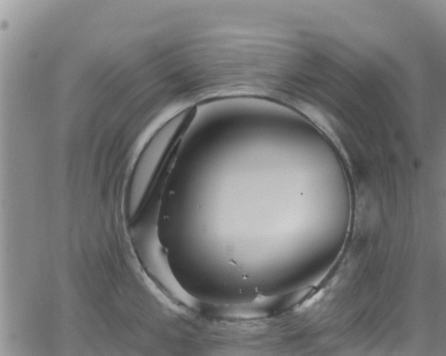 X0000062141197200512161210