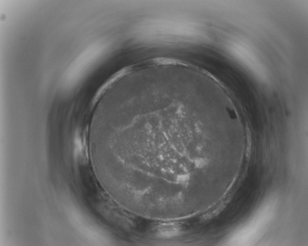 X0000062141198200512161209