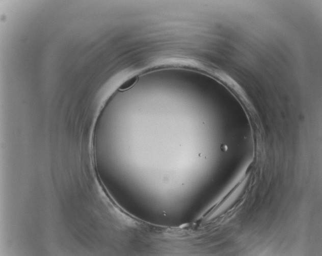 X0000062141199200512161209