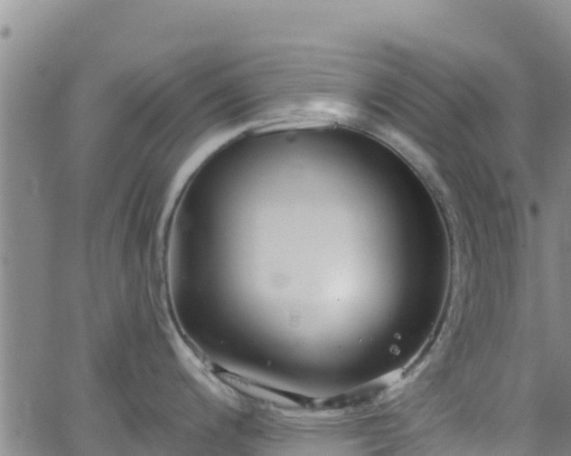 X0000062141200200512161209