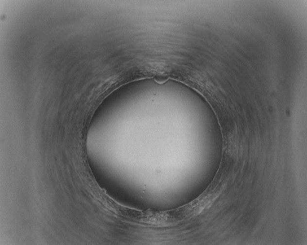 X0000062141201200512161209