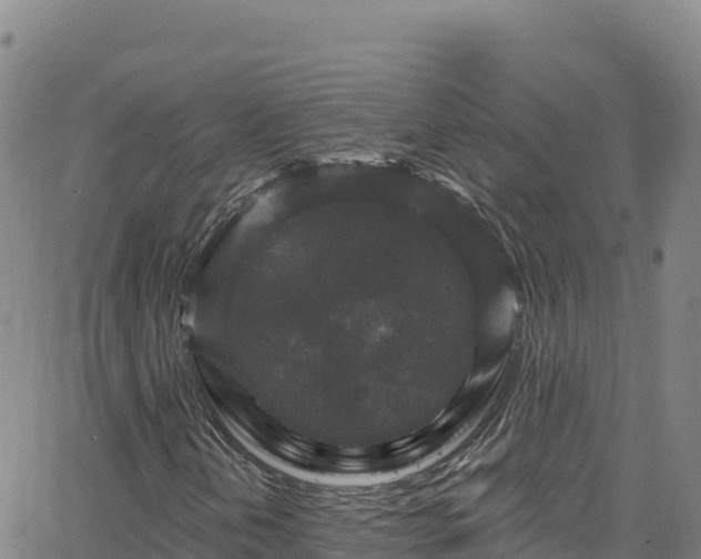 X0000062141202200512161209