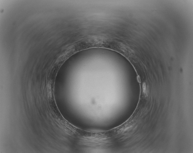 X0000062141203200512161209