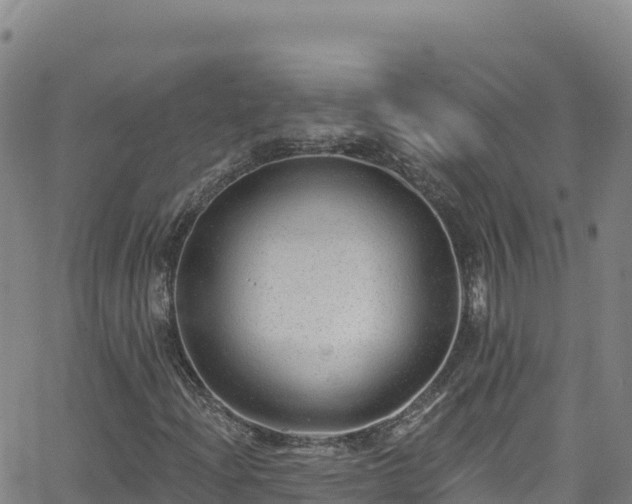 X0000062141204200512161209