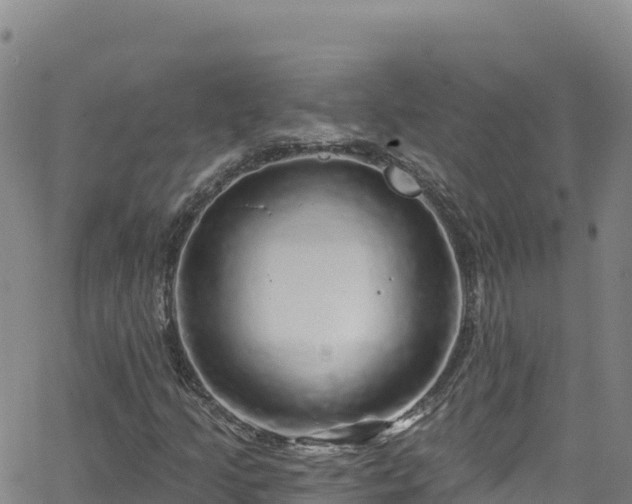 X0000062141205200512161209