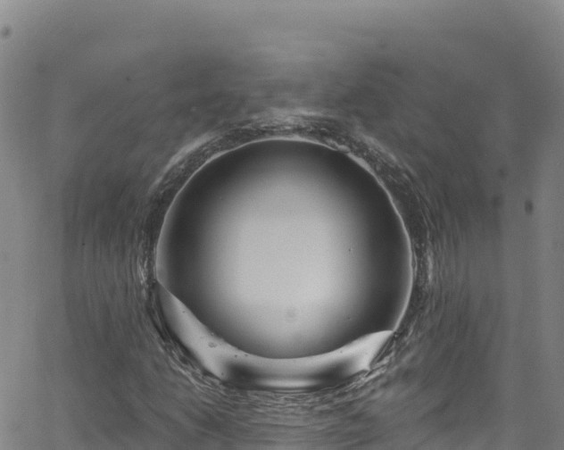 X0000062141206200512161209