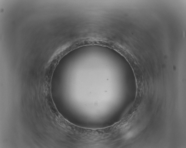 X0000062141207200512161209