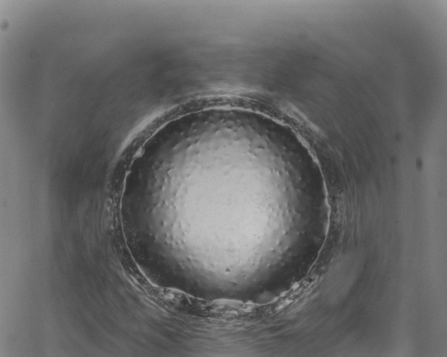 X0000062141208200512161209