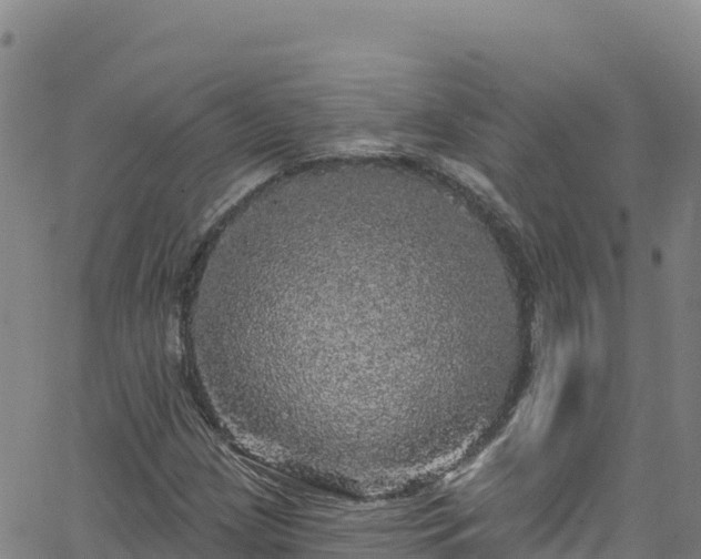 X0000062141209200512161209