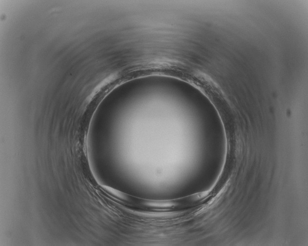 X0000062141210200512161209