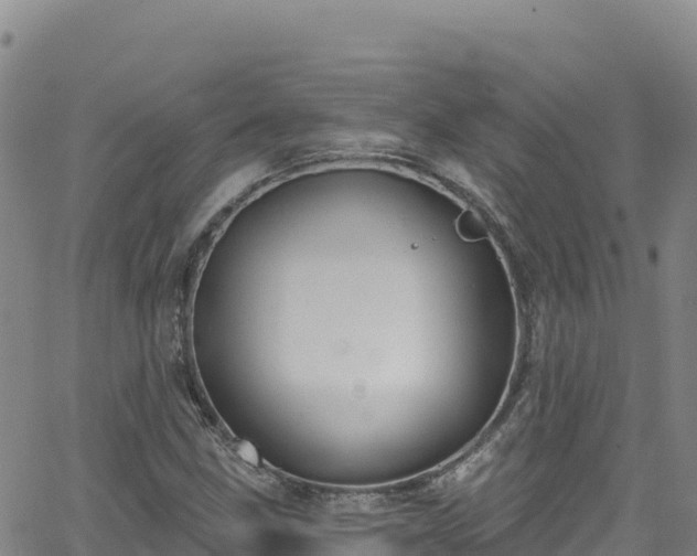 X0000062141211200512161209