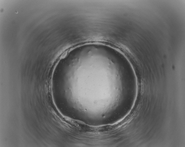 X0000062141212200512161209