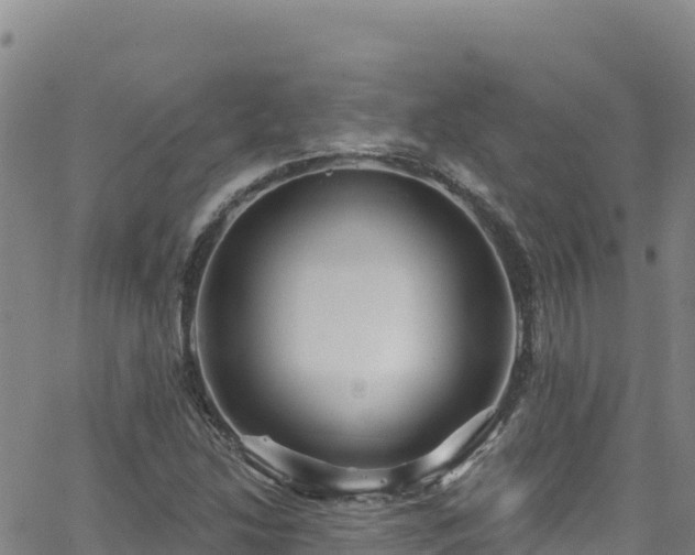 X0000062141214200512161209