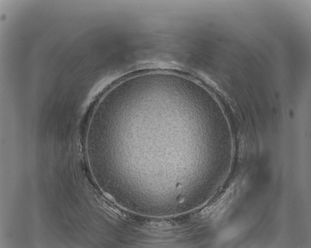 X0000062141215200512161209