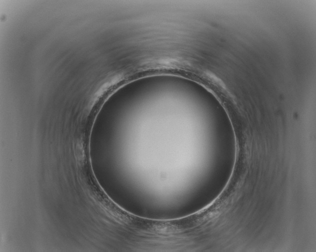 X0000062141218200512161209