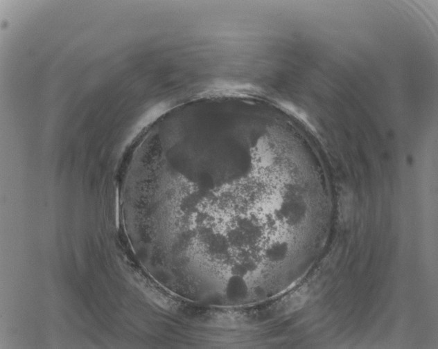 X0000062141219200512161209