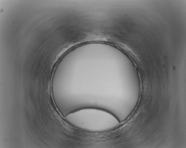 X0000062141220200512161209