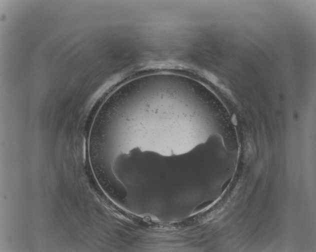 X0000062141221200512161209