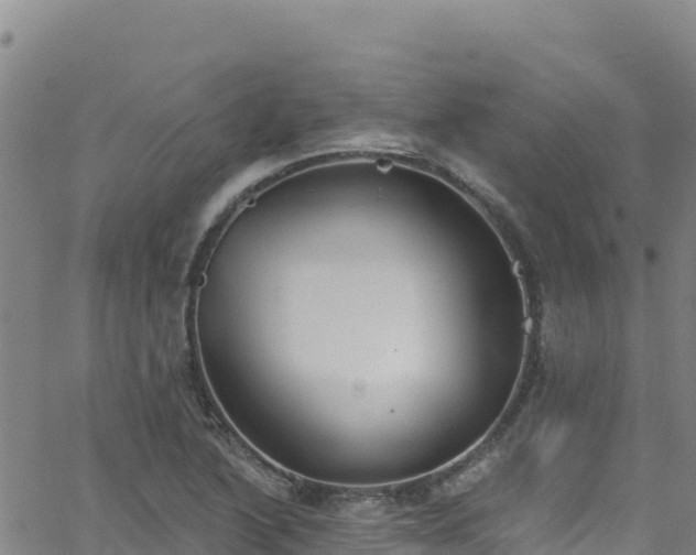 X0000062141222200512161209