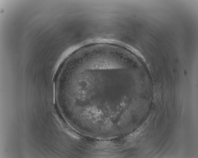 X0000062141223200512161209