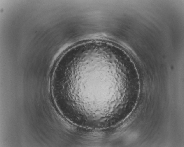 X0000062141224200512161209