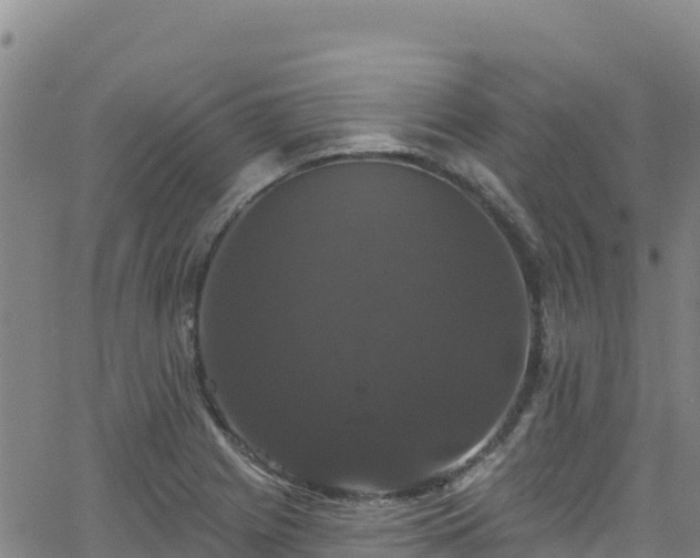 X0000062141225200512161209