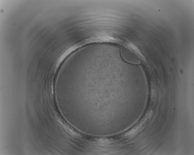 X0000062141226200512161209