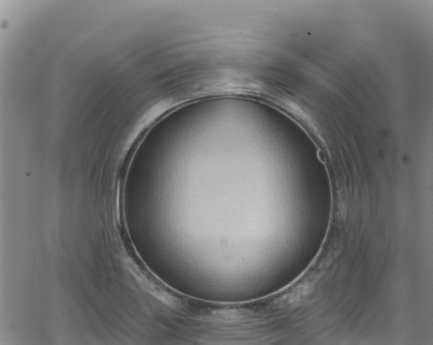 X0000062141227200512161209