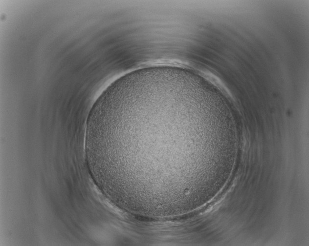 X0000062141228200512161209