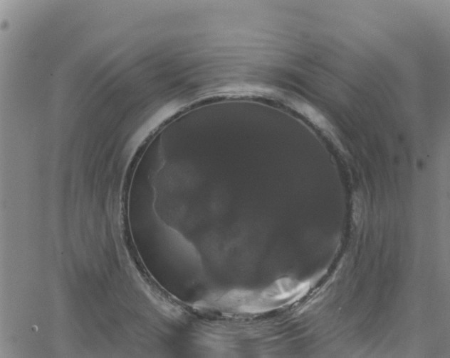 X0000062141229200512161209