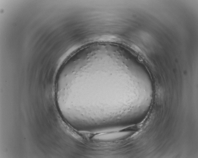 X0000062141232200512161209