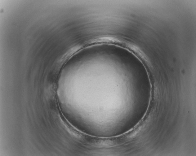 X0000062141233200512161209