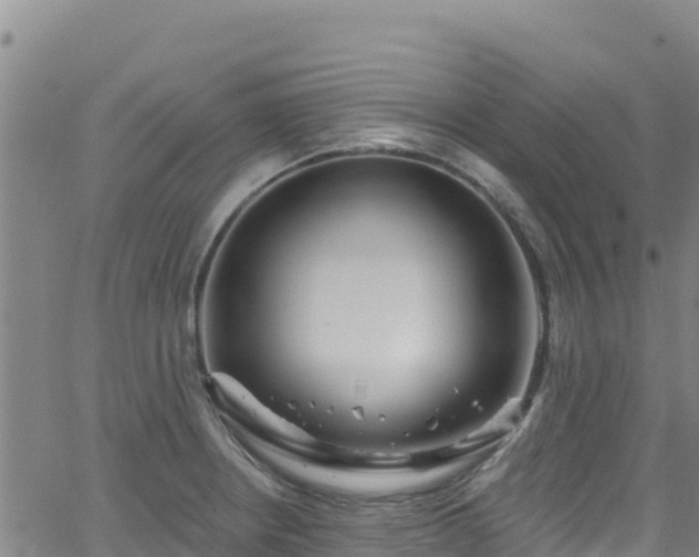 X0000062141234200512161209