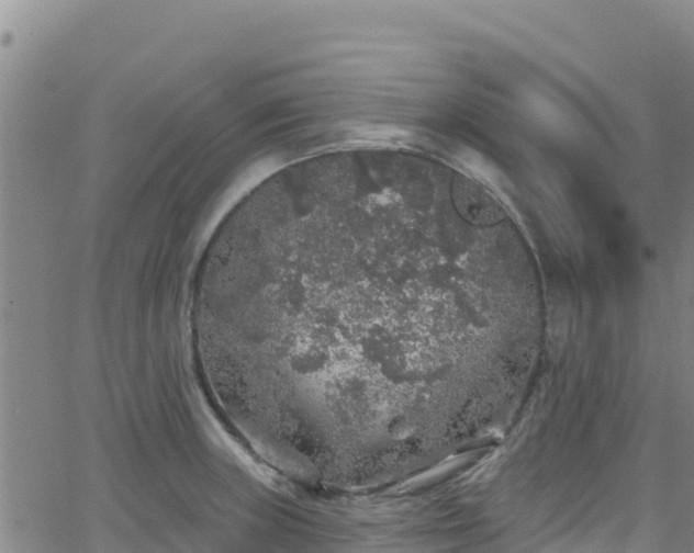 X0000062141235200512161209