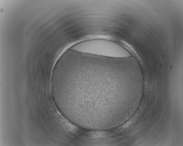 X0000062141236200512161209