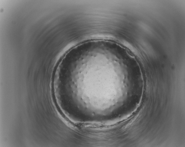 X0000062141237200512161209