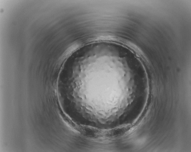 X0000062141241200512161209