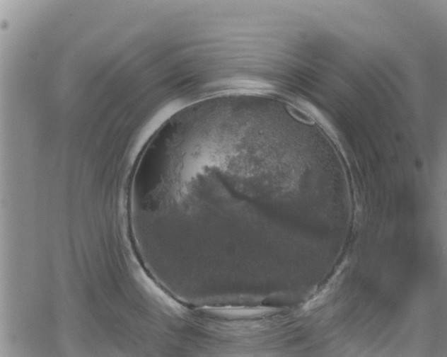 X0000062141243200512161209