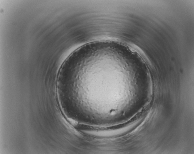 X0000062141244200512161209