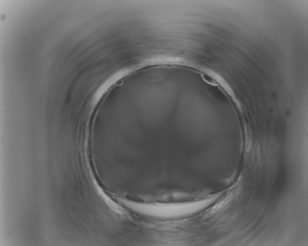 X0000062141245200512161209