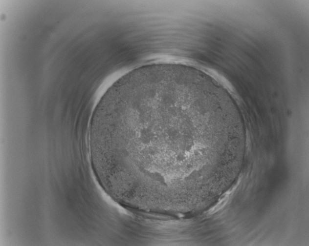 X0000062141247200512161209