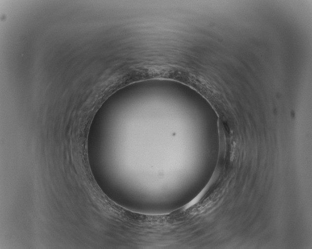 X0000062141249200512161209