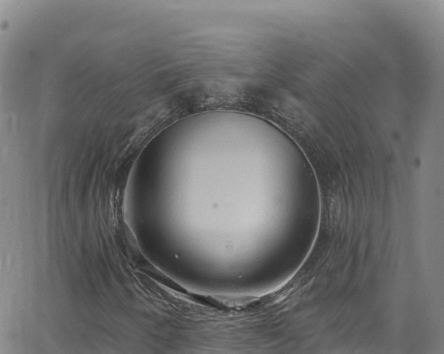 X0000062141250200512161209